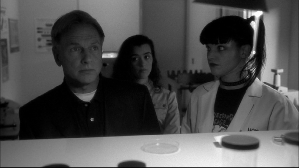 Iced (episode) | NCIS Database | Fandom