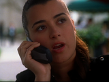 Ziva David