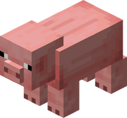 Pig JE3 BE2