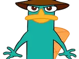 Perry the Platypus