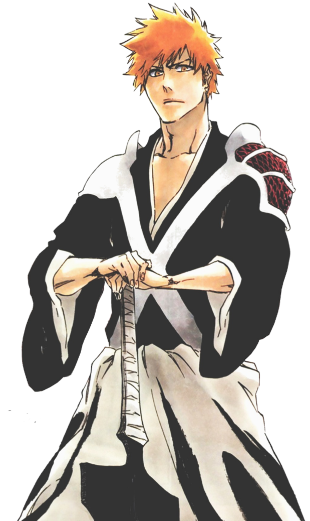 Bleach Anime Heroes Ichigo Kurosaki