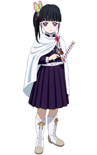 Shinobu Kocho, Heroes Wiki