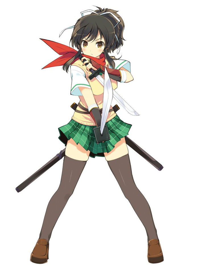 Senran Kagura Burst - Wikipedia