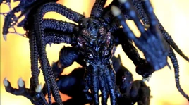 6762DFEC-DAD7-4C20-A924-A86509EB9322