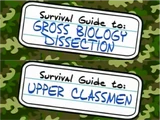 Guide to: Gross Biology Dissection and Upperclassmen