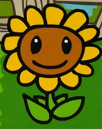 Girasol