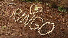 Ringomemorial