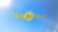 Naybers 2013 logo