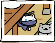 Whiteshadow during their espionage activity.