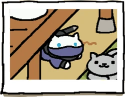 Whiteshadow | Neko Atsume Wiki | Fandom
