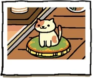 Peaches using the Zanzibar Cushion.