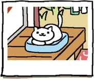 Snowball on the Thick Cooling Pad.