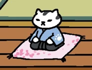 Mr. Meowgi on the Sakura Pillow.