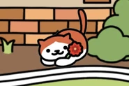 Red Purrhood's second pose (lying down)