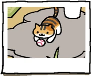 Gozer playing with the Baseball.