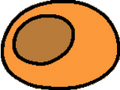 Orange Coccoon