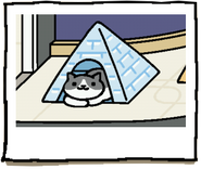 Rascal using the Tent (Blizzard).