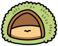 New Chestnut Cushion