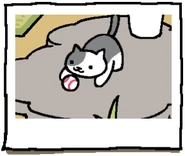 Lexy playing with the Baseball.