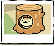 Apricot using the Stump House.