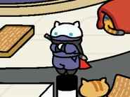 Whiteshadow in the Modern Remodel.