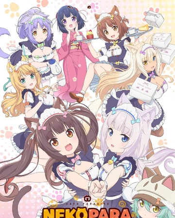 Nekopara Anime Nekopara Wiki Fandom