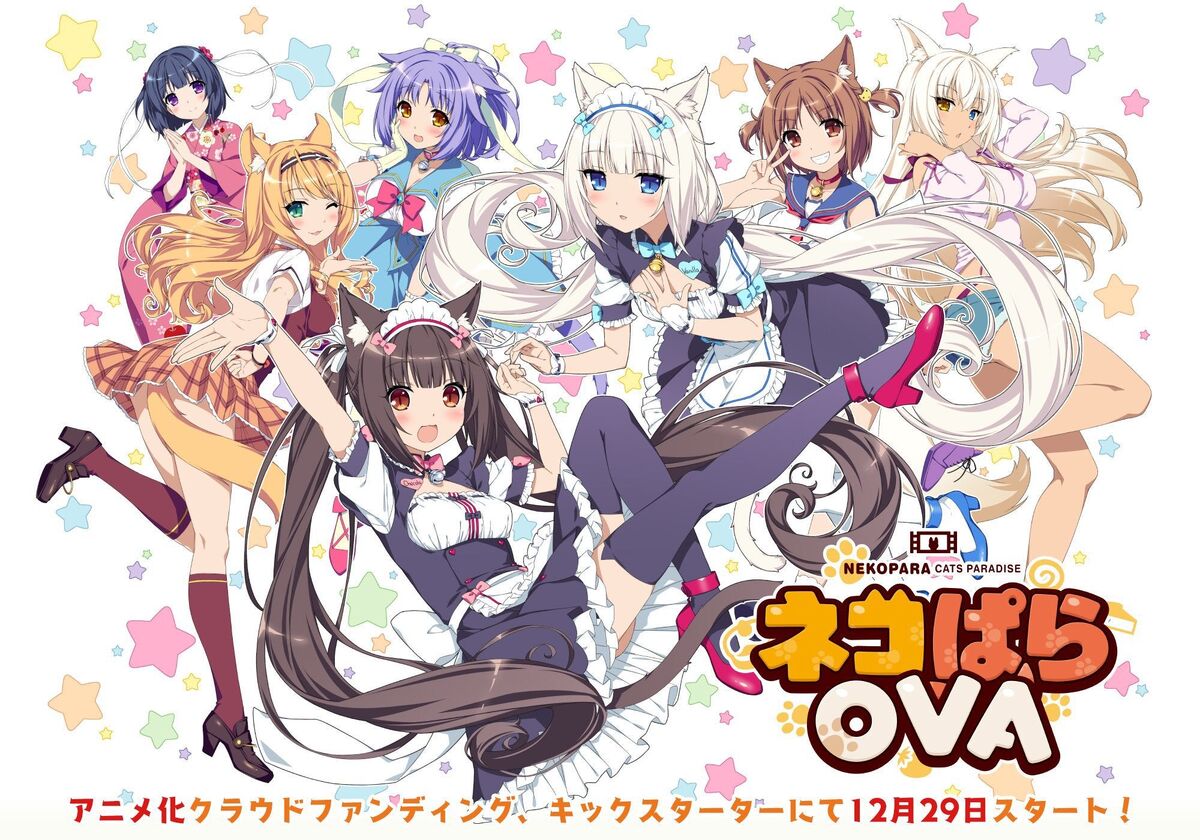 Кошачий Рай» OVA | Nekopara вики | Fandom