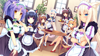 Nekopara1 120