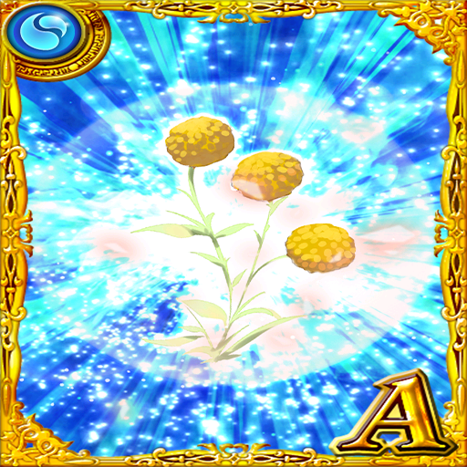 卡片資料 7 月輪花 問答rpg 魔法使與黑貓維茲維基 Fandom 卡片資料 7 月輪花 問答rpg 魔法使與黑貓維茲維基 Fandom