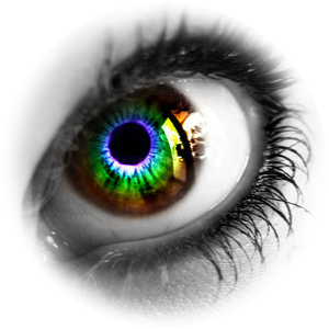 Nemle Wiki | Fandom