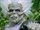 Villains in Power Rangers Operation Overdrive
