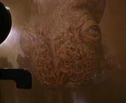 Guild Navigator in his tank, from 's 