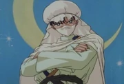 Mamoru as the Moonlight Knight