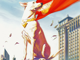 Krypto