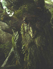 Treebeard