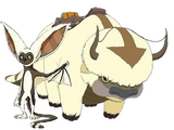 Momo (Avatar: The Last Airbender)