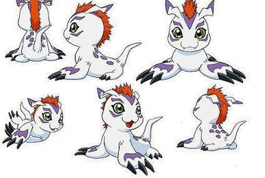 Gomamon, Digimon Masters Online Wiki