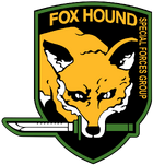 Night Fox