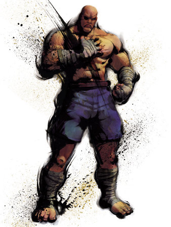 street fighter characters sagat