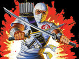 Storm Shadow (G.I. Joe)