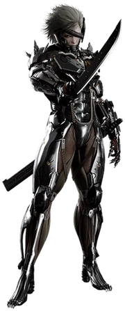 Raiden Metal Gear Rising