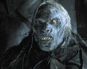 Shagrat, leader of the Black Uruks of Mordor in 's .