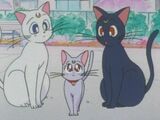 Luna, Artemis and Diana