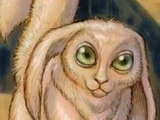 List of Star Wars species (K–O)