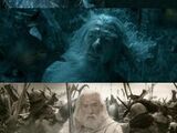 Eagle (Middle-earth)