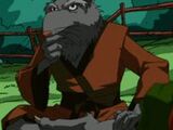 Splinter (Teenage Mutant Ninja Turtles)