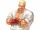 Geese Howard