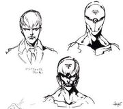 Gray Fox Concept