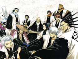 Bleach captains