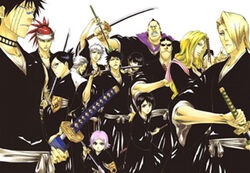 Bleach lieutenants